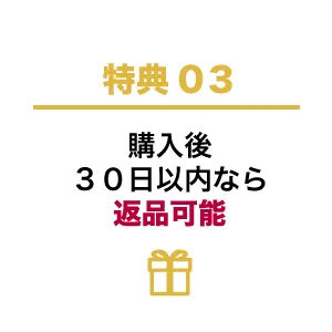購入後30日以内なら返品可能