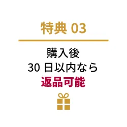 購入後30日以内なら返品可能